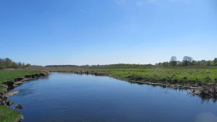 Rzeka Netta