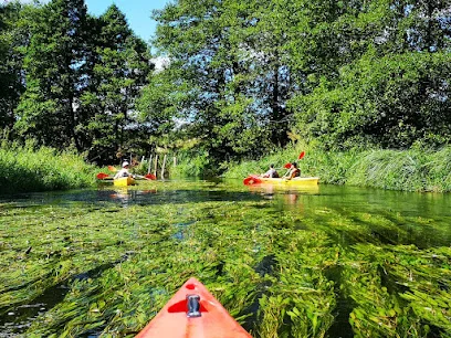 Spływy kajakowe: Rospuda (trasa)