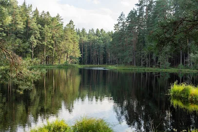 Wigierski Park Narodowy